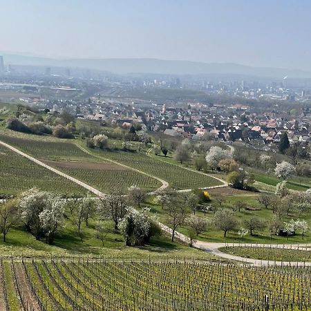 Landgasthof Rebstock Weil Am Rhein / Basel Exterior photo