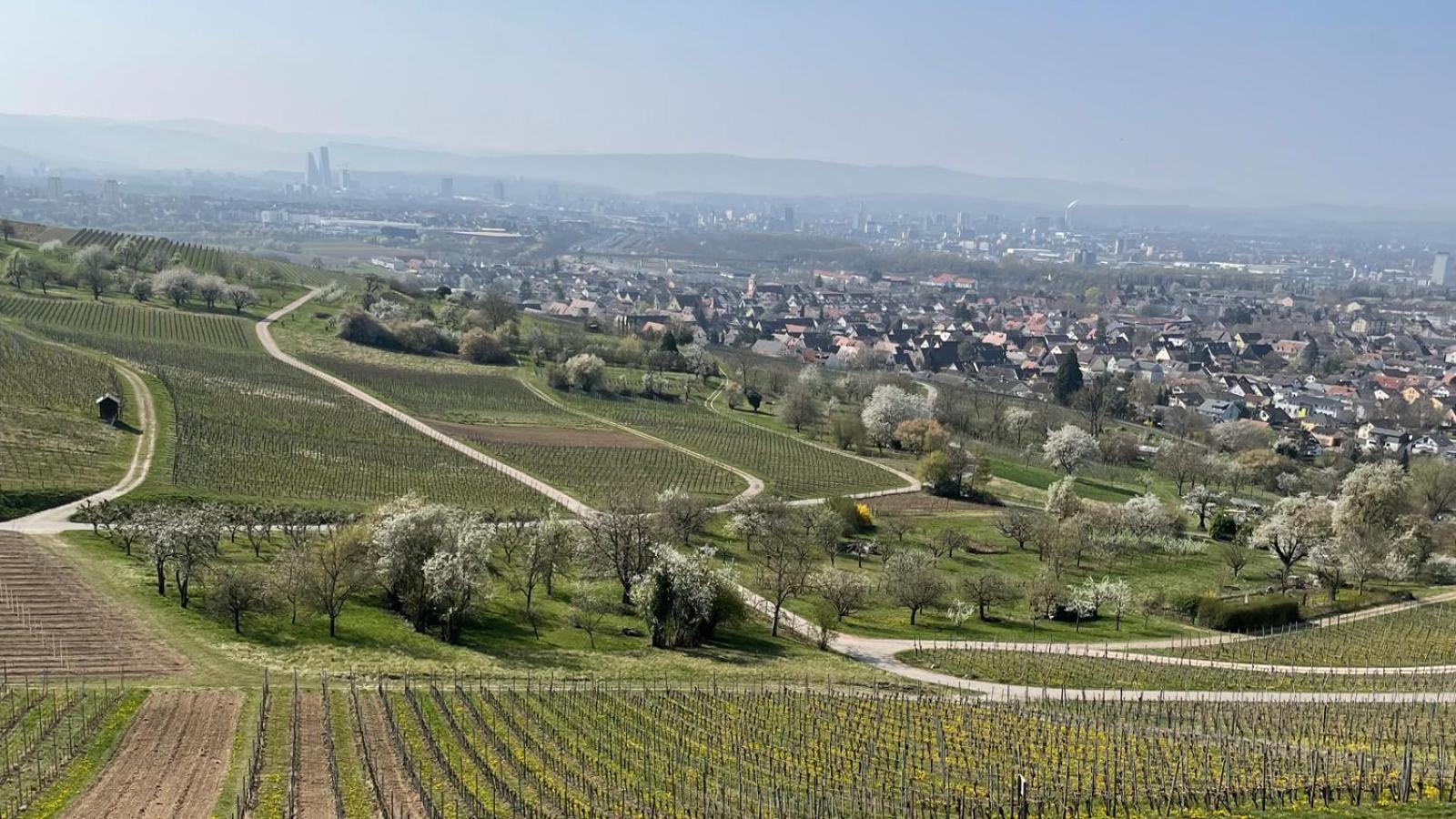 Landgasthof Rebstock Weil Am Rhein / Basel Exterior photo