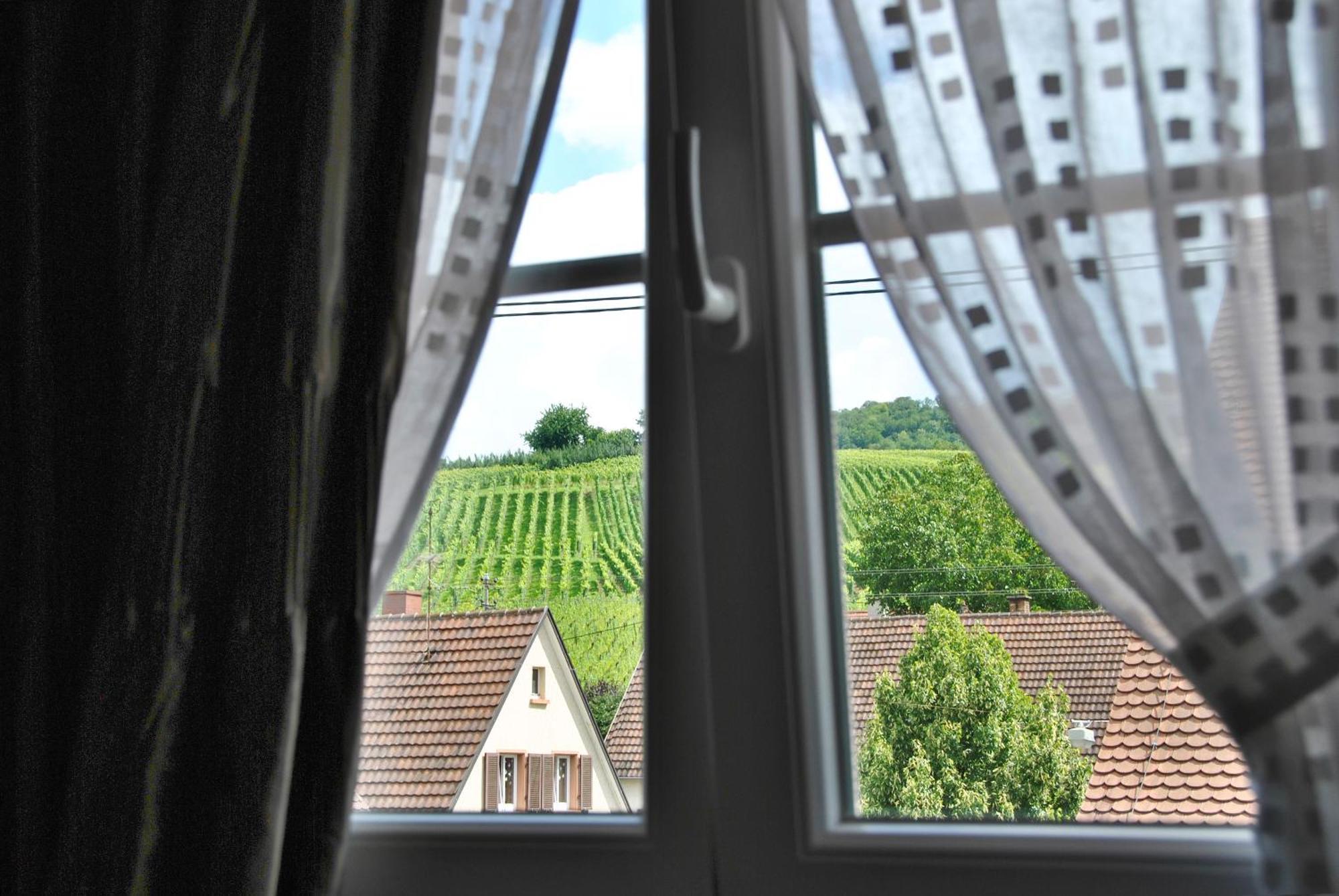Landgasthof Rebstock Weil Am Rhein / Basel Exterior photo